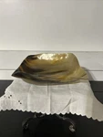 Mid Century Large Water Buffalo Horn Bowl Hand Carved & Polished. Fixed Price $36.00.