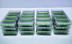 Schick Hydro 5 Sensitive Refill Razor Blade, 48 Cartridges (unboxed). Fixed Price $74.70.