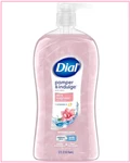 Dial Moisturizing Body Wash, Silk & Magnolia With Protein, 32 Fluid Ounces*. Fixed Price $13.90.