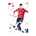 Patrik Schick 10 Sports Fans Tribute - Czechia Inspired Graphic Poster 20"X30". Fixed Price $23.99.
