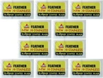 100X Feather Double Edge Razor Blades Platinum Coated Hi-stainless Steel Jpn Ma. Fixed Price $31.95.