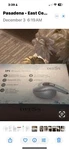Dees GP588 Ipl Light Based Hair Removal Device. Fixed Price $85.00.