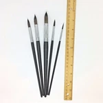 High End Round Tip Artist Paint Brushes 5PC Pure Russian Blue Squirrel. Fixed Price $48.99.