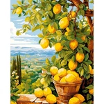 Lemon Paint By Numbers Kit For Adults Diy Wall Art Decoration Embroidery. Fixed Price $7.99.