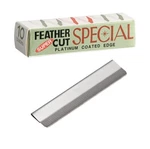 10 Blades Super Feather Cut Special Platinum Coated Edge Razor Eyebrow Hair Usa. Fixed Price $12.99.