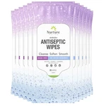 Nurture Xl Antibacterial Body & Hand Wipes 250 Count Alcohol-free Germ Removal. Fixed Price $29.95.