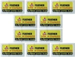 100X Feather Double Edge Razor Blades Platinum Coated Hi-stainless Steel Jpn Ma. Fixed Price $35.00.