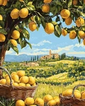 Lemon Diamond Art Kits For Adults, Tree 5D Painting Begi. Fixed Price $13.99.