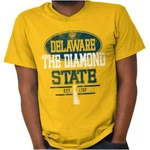 Delaware Diamond State Hometown Gift Womens Or Crewneck Shirt Tee. Fixed Price $14.99.