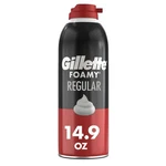 Gillette Foamy Classic Shave For Men, Protection 14.9 Ounce (pack Of 1). Fixed Price $6.38.