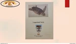 O) 1983 Belize, World Wildlife Fund Stamp, Wwf, Jaguar, Panthera Orca, Swimming,. Fixed Price $20.00.
